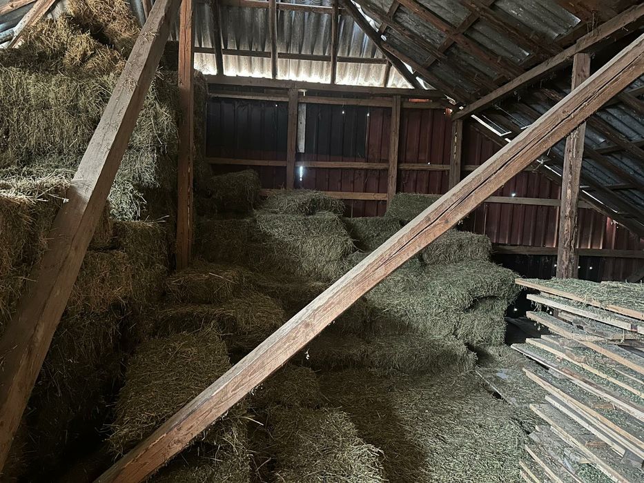 Vand baloti lucerna și fân