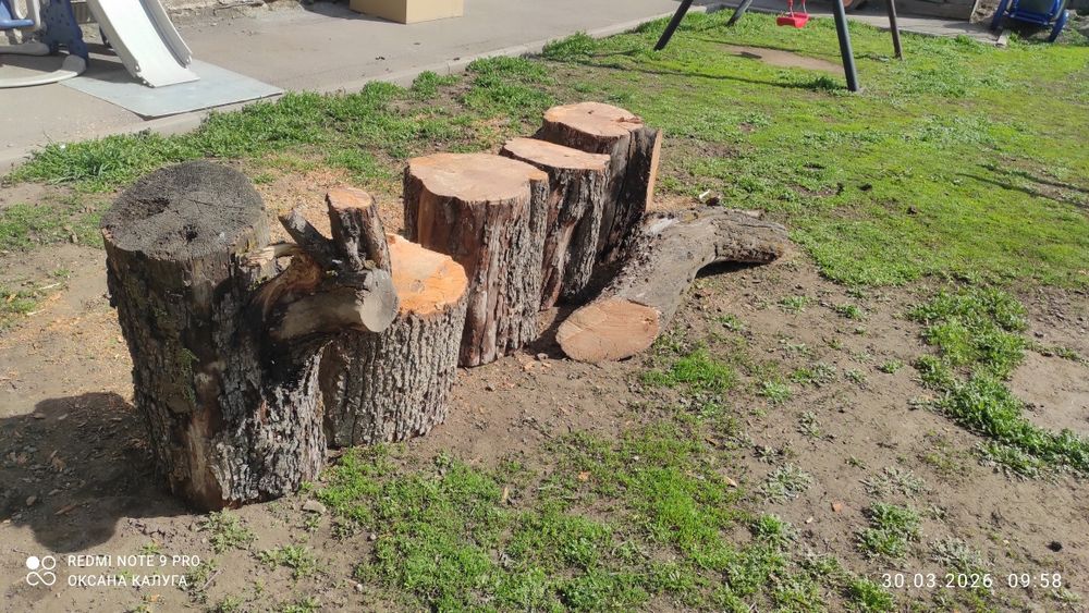 Отдам дрова (груша)