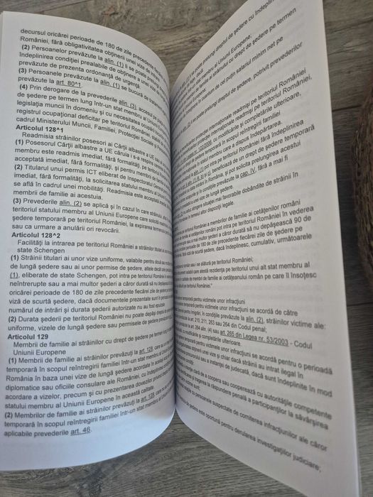 Dosar Admitere M.A.I