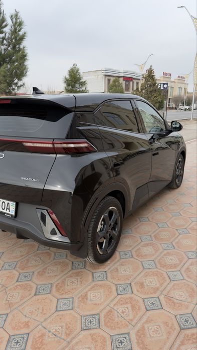 BYD seagull 2024й 405км