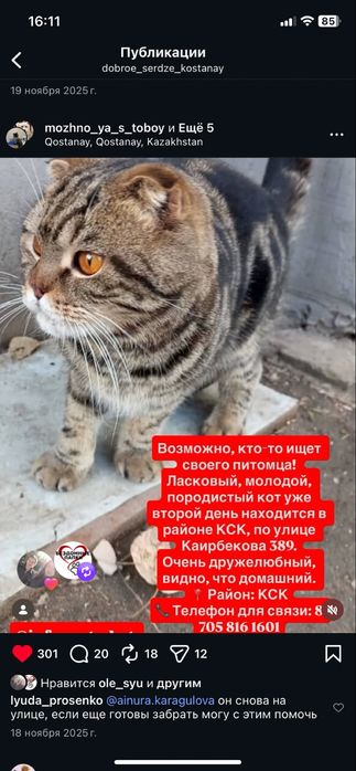 В надежные руки