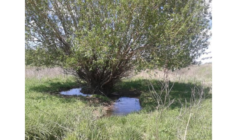 Продам участок 10 Га