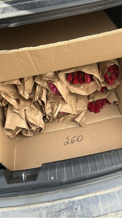 Тюлфан 550т ден оптом