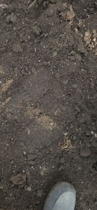 Чернозем плодородная земля