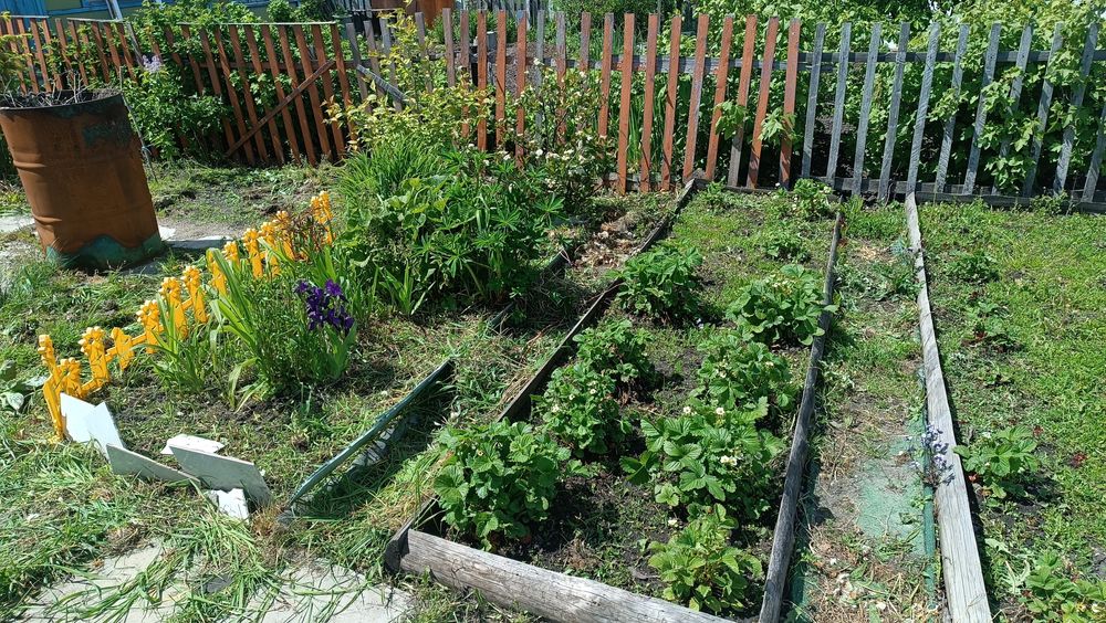 Продам дачу в дачном кооперативе Мотор-Комета