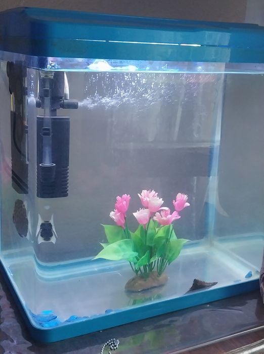 Китайский аквариум 30 литров