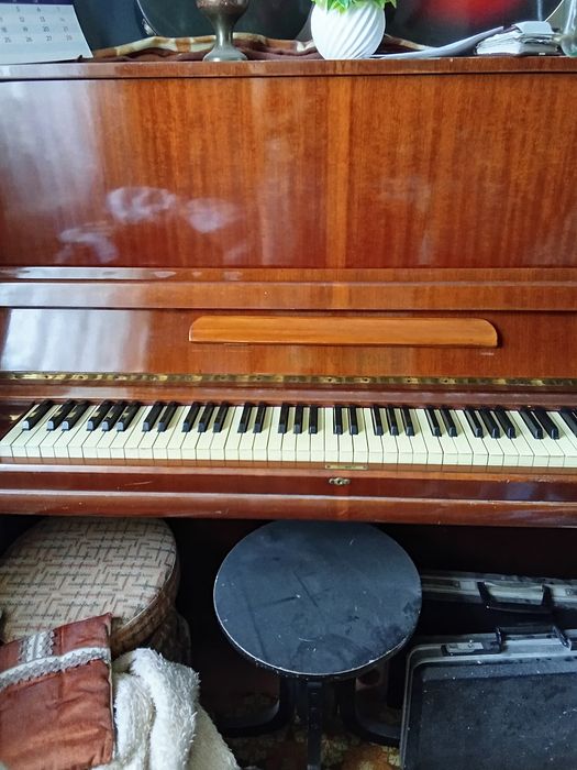 Музыкальные инструменты