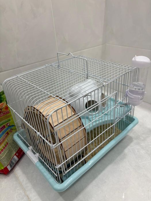 Хомяк сирийский длиношерстный