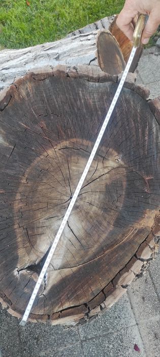 Продавам орех - дървесина / дървен материал