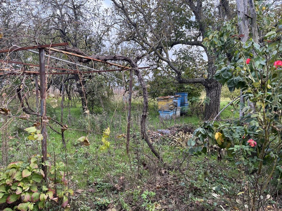 Продава се Къща в Добрич, Център - 100 кв.м за 281 €/кв.м - Снимка #22