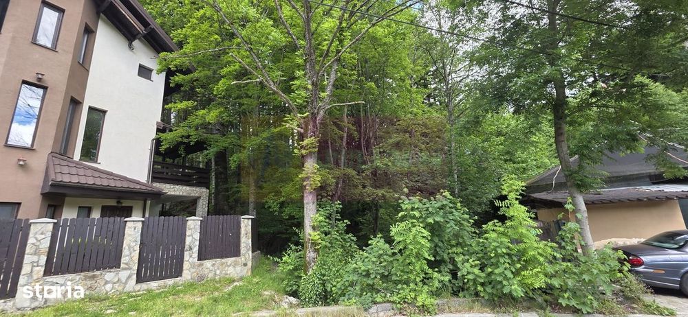 Teren intravilan 720 mp Sinaia