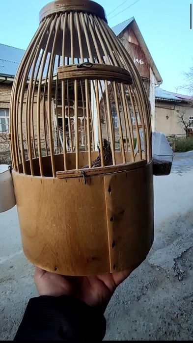 Sayroqi bedanalar sotiladi