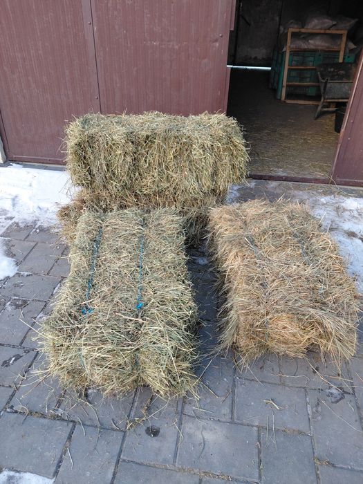 Baloți de fin și lucernă