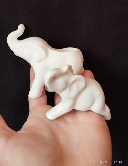 За любителите на слончета