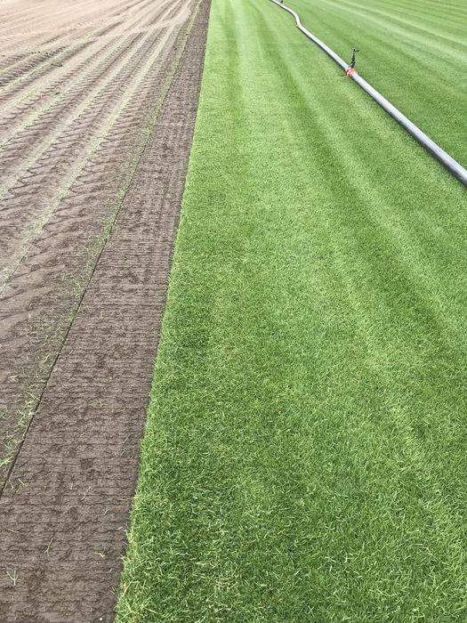 Gazon   Rulou   /   Sisteme  de  irigatii  Automatizate