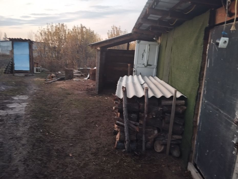 Продам Драва карагач.