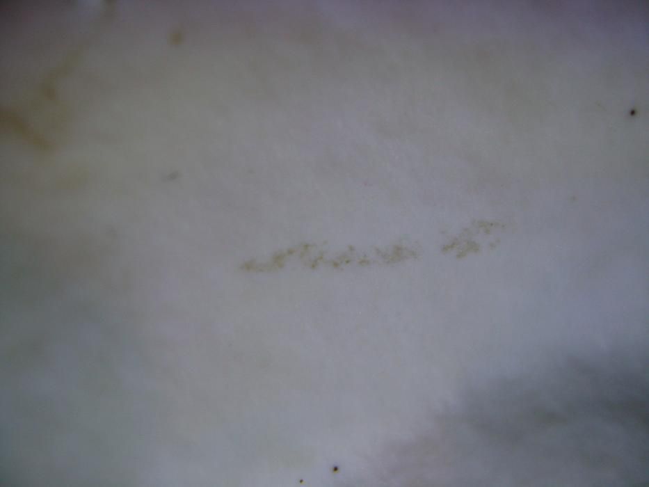 Стара порцеланова ваза 1875 г. Porzellanfabrik Hertweg&Co