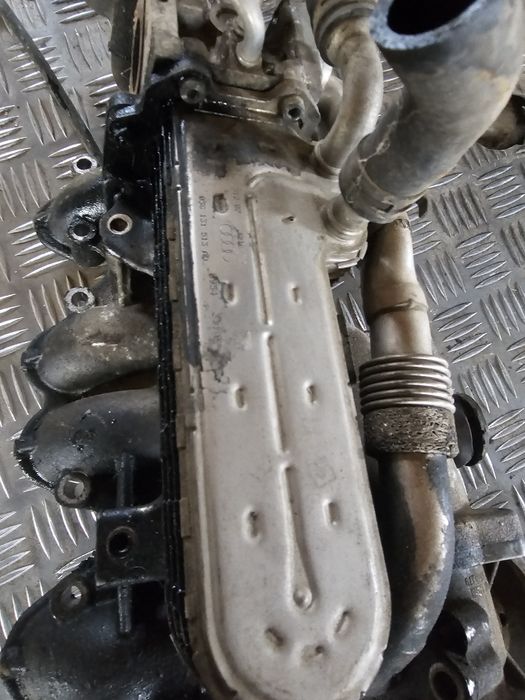 Racitor Gaze Volkswagen Jetta skoda octavia  2008, 038131513AD