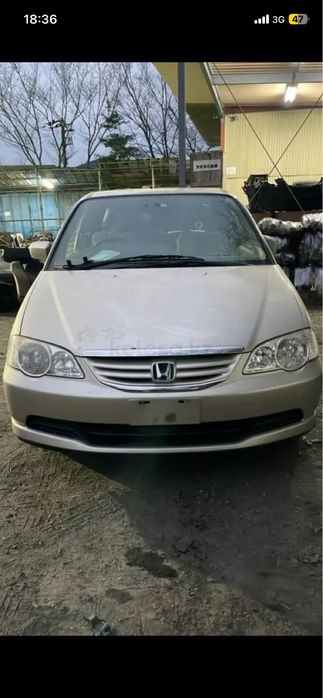 Решетка бампера на Хонда Одиссей