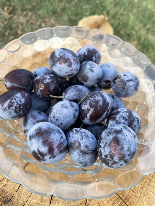 Vand prune negre