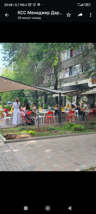Пластиковые стулья из экосырья