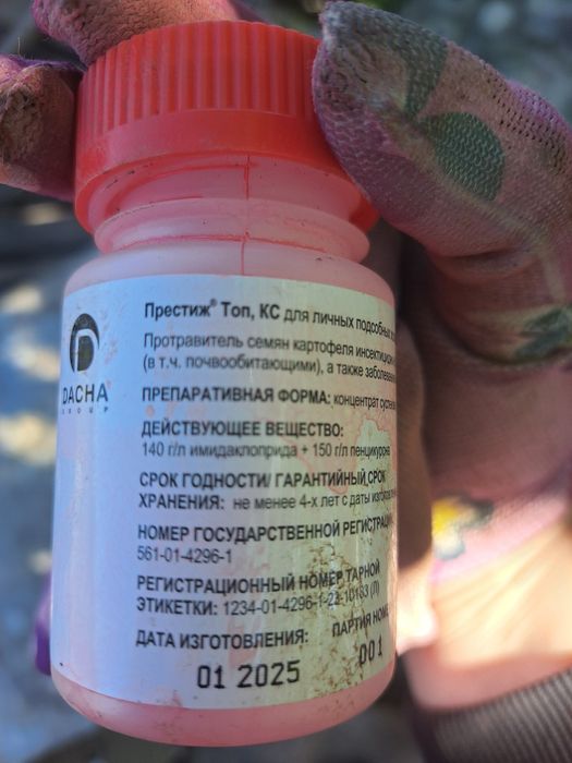 Продам 4 ведра картошки на посадку