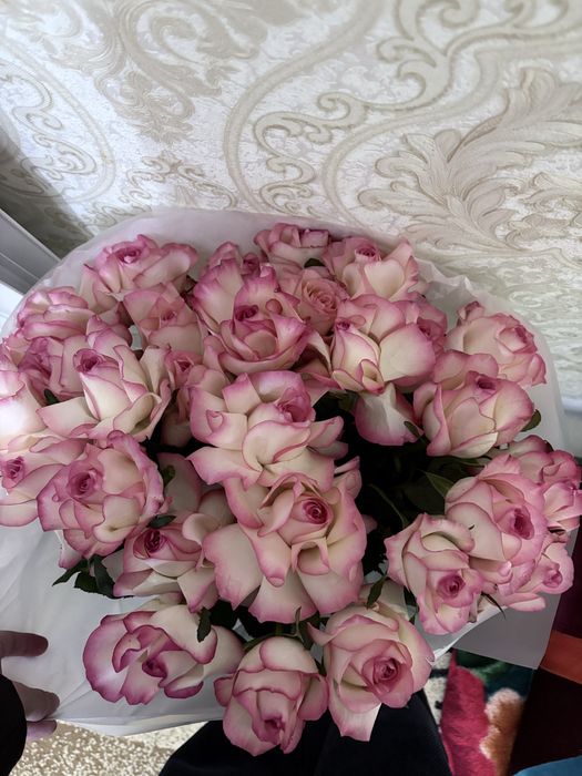 Розы 21шт только пришли