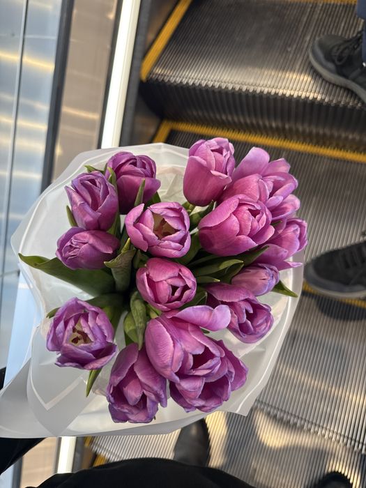 Продам цветы тюльпаны