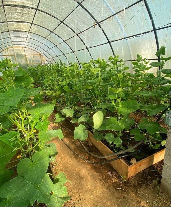 Продается двухуровневый дом