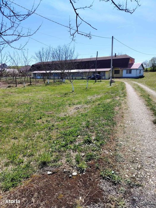 Teren intravilan cu casa Badon