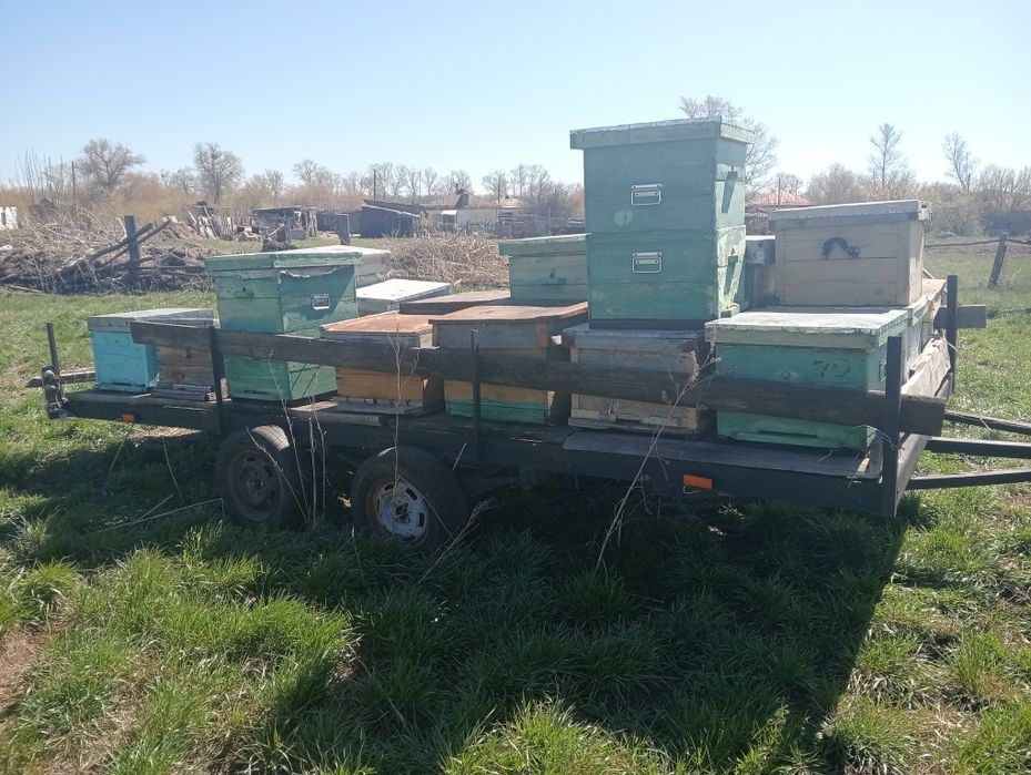 Прицеп пчеловодный