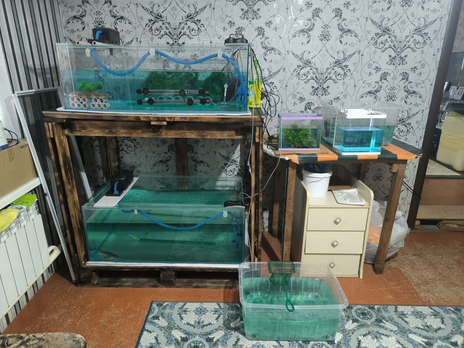 Продам аквариум можно как террариум