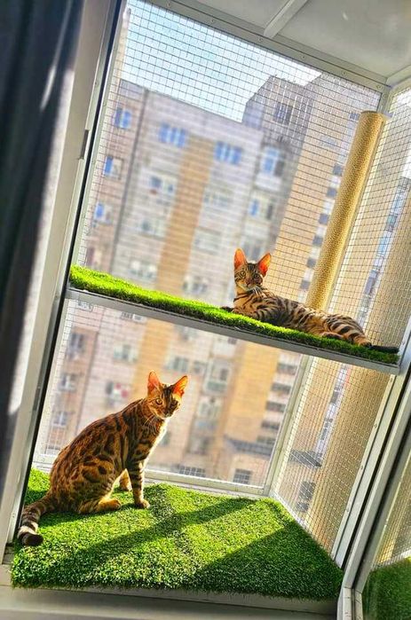 Plase metalice de protectie pentru pisici si insecte/custi/usi/balcon