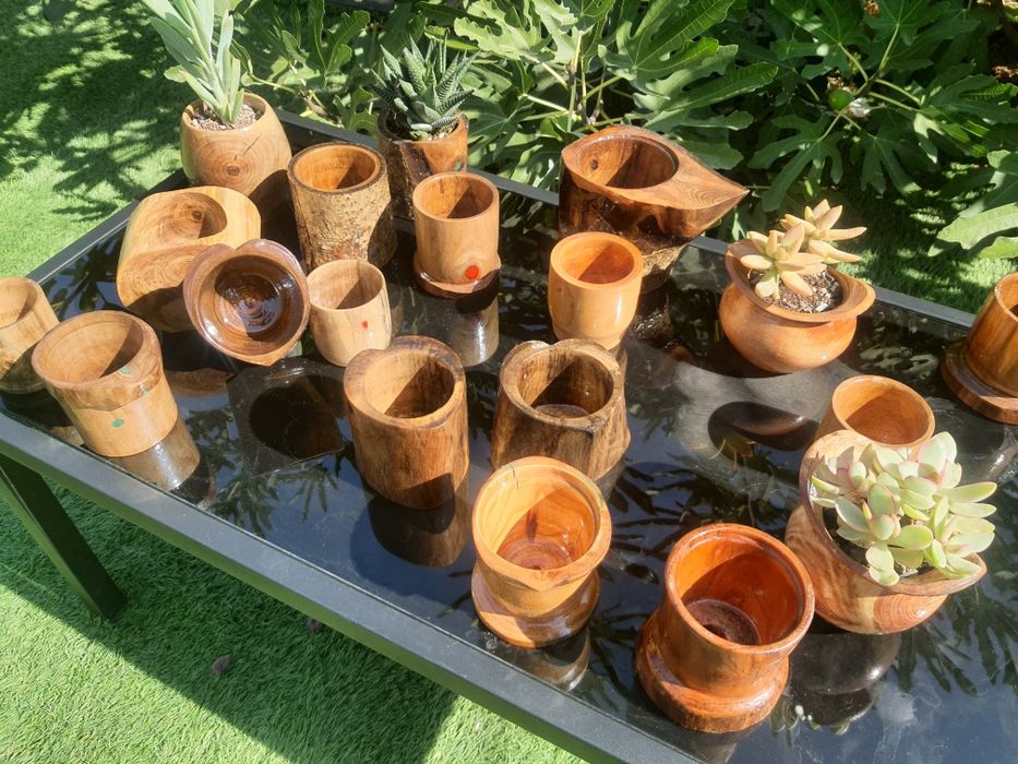 Marturii nunta si ghivece handmade cu plante suculente