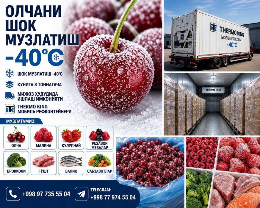Олчани шок музлатиш -40C / шоковая заморозка вишни -40С