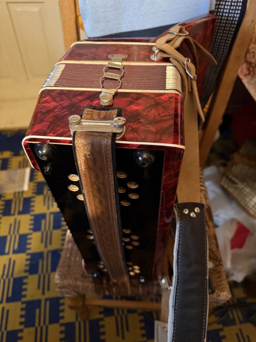 Acordeon nemțesc Cantulia