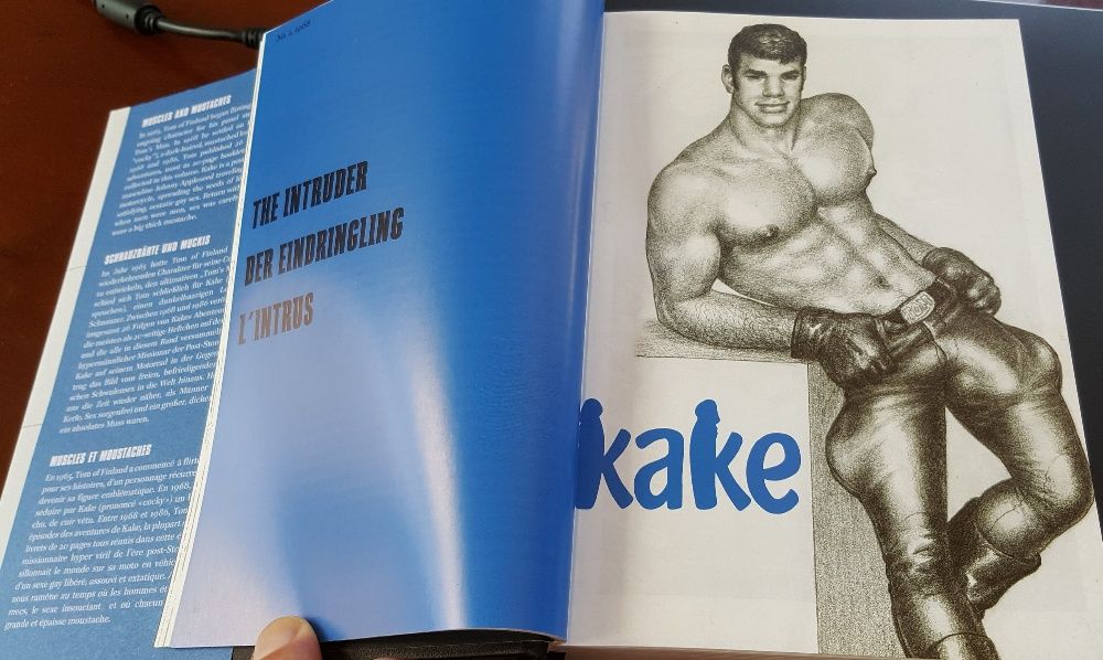 "ТОМ ОФ ФИЛАНД" (книга-комикс)