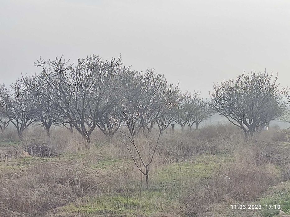 Hovli uy qo'shimcha bog'i bilan