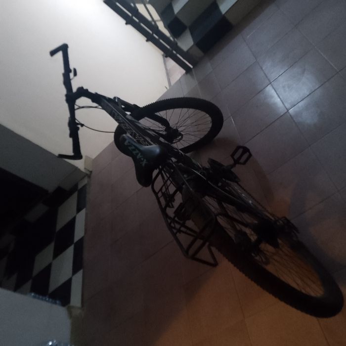 Велик скарастной