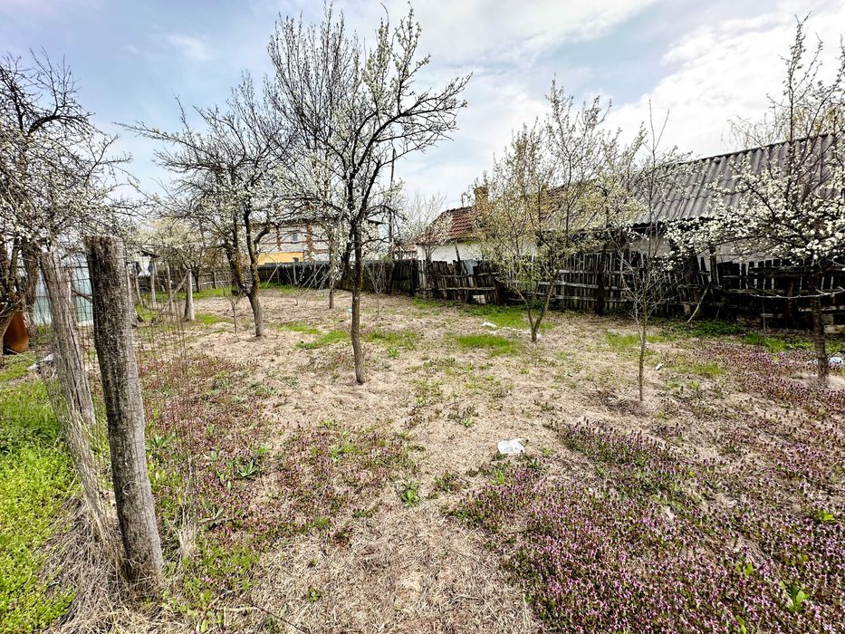 Casă P+1 cu teren 2.470 mp, livadă, anexe și gospodărie completă Mîrțești, Săpata, Argeș