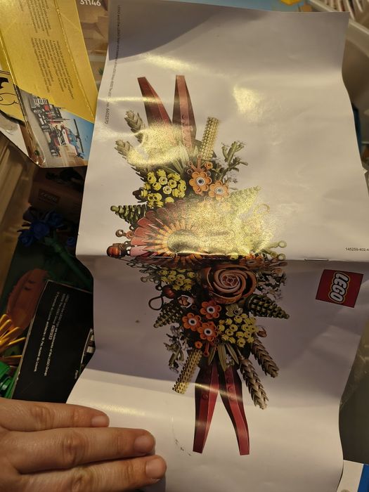 Lego ,10 kg + ,unele noi