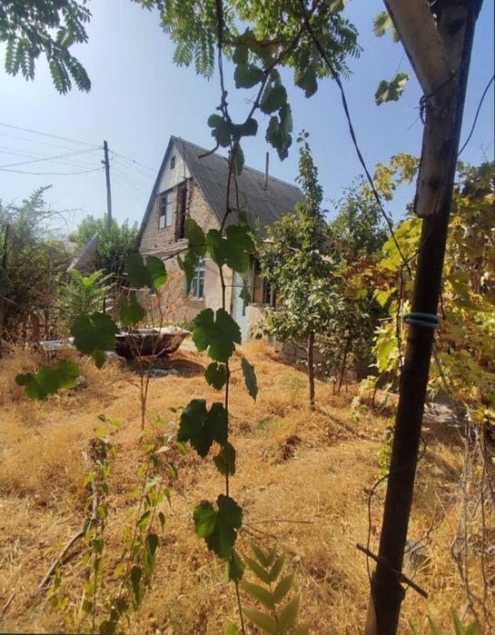 Продается Дача. 6- соток. Саид Ота. Янгиюль.