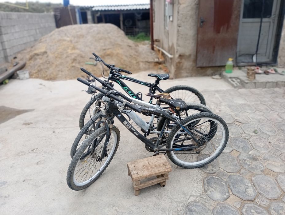 Спартивный велік
