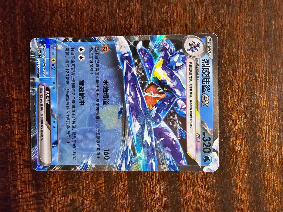 Pokémon TCG Terastal Gathering (CN)