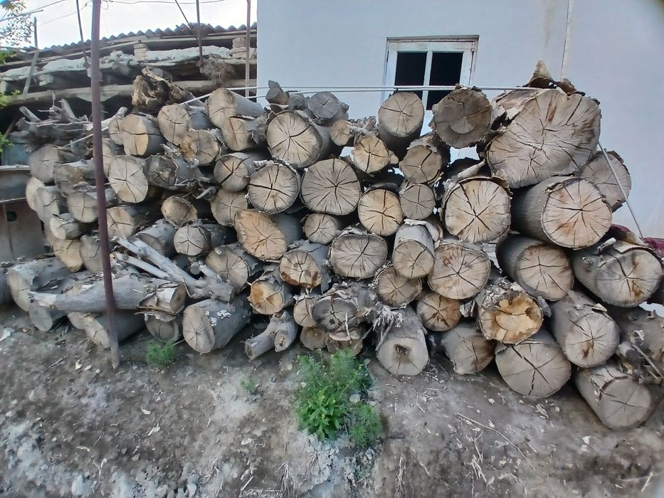 O'tinlar sotiladi Eski shahar Navoiy viloyatida Kelis