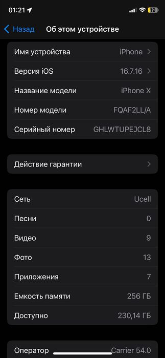 IPhone X 256 100