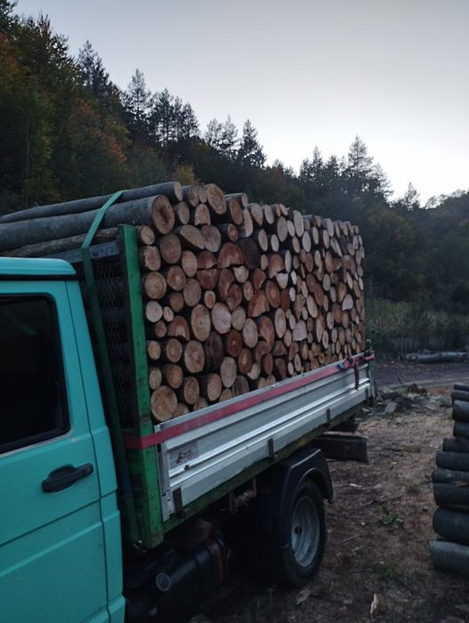 Lemne de foc fag capete uscate sau verzi 600.lei tona