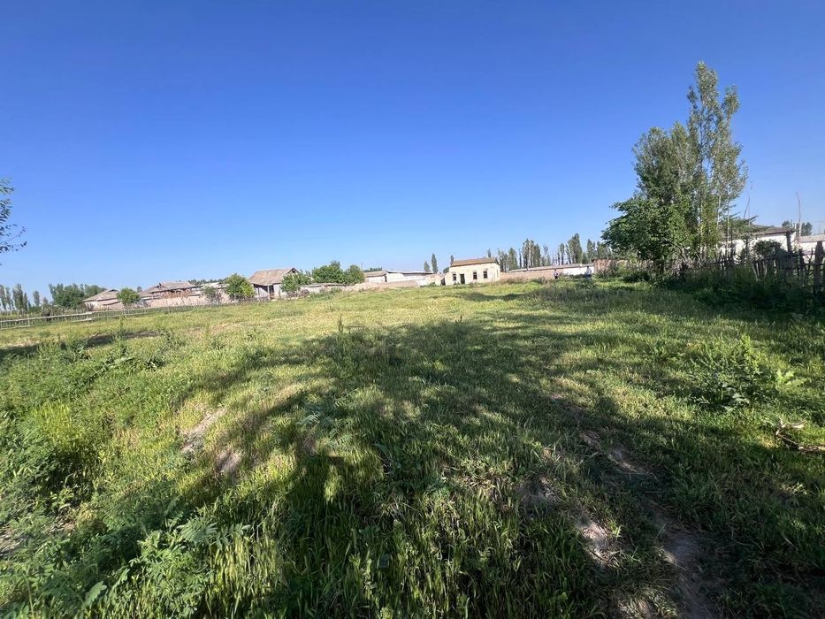 Участка 30 сотих. Кадастри бор