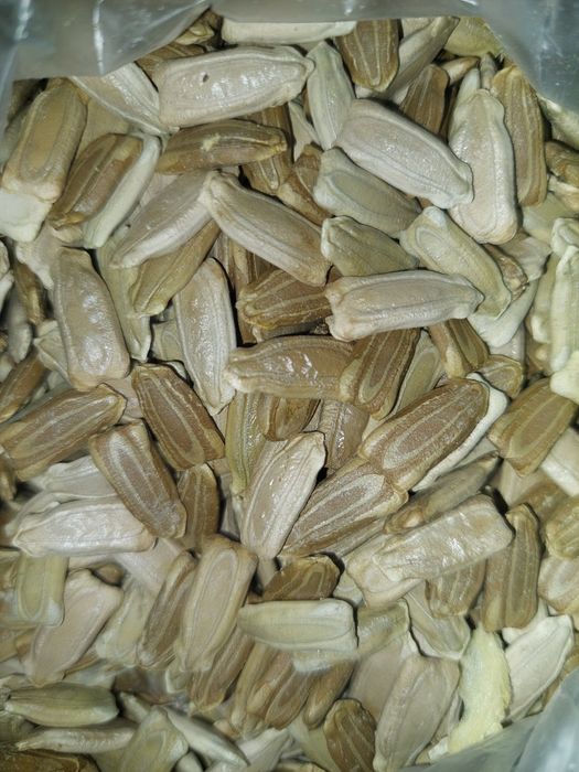 Семена декоративной тыквы