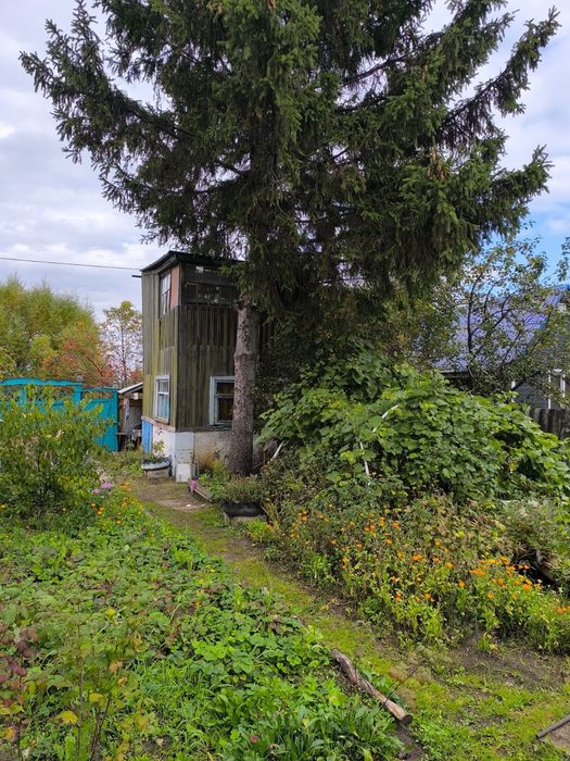 Дача в сообществе ,,Елочка"